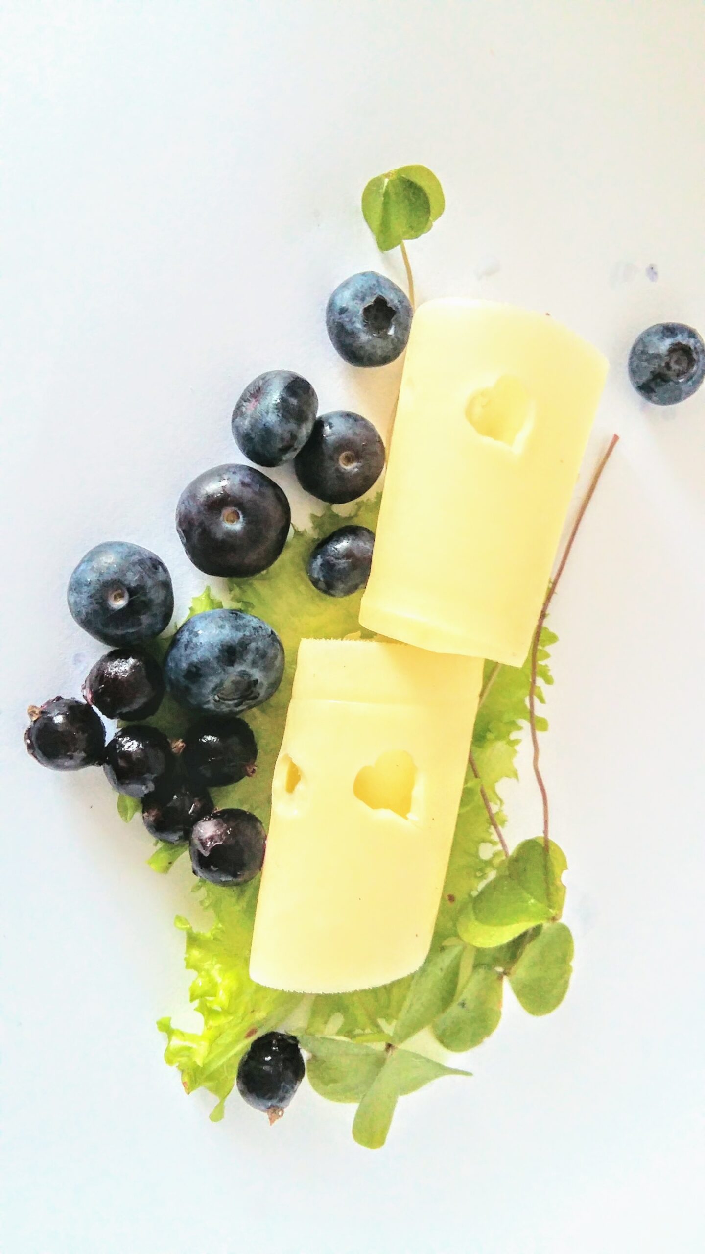 Why are there holes in cheese? MoSaaremaa