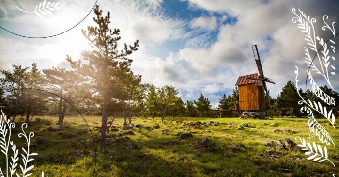 EsileheleSaaremaa (1) copy