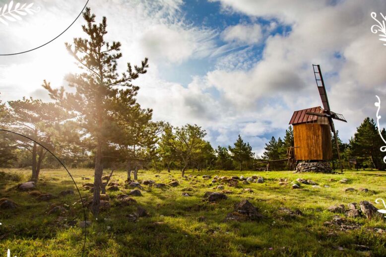 EsileheleSaaremaa (1) copy